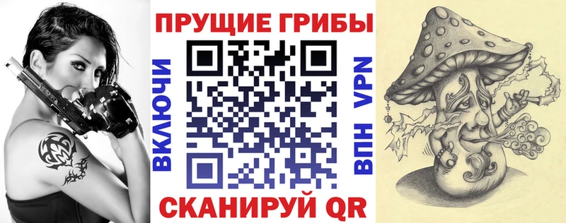 Галлюциногенные грибы Psilocybine cubensis  Долинск 